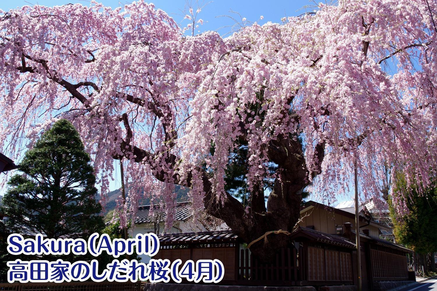 Nikko Stay House Arai - Vacation Stay 14988V Esterno foto